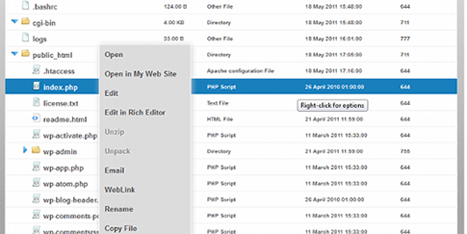 New file manager - right clicking on a file